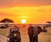 TANZANIA Y KENIA 9 DÍAS TEMPORADA 2026-2027