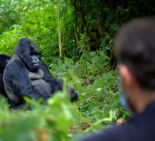 UGANDA Y RUANDA 13 DIAS 